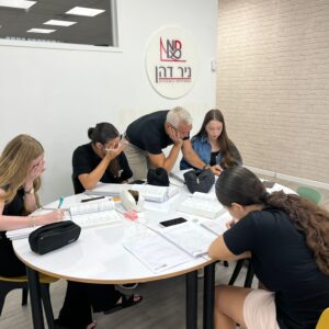 אלגברה 11 -  מערכת משוואות ממעלה 1 עם 2 נעלמים.
