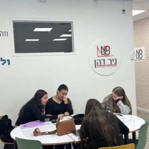 חורף 2013