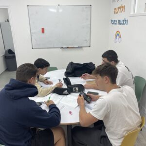 חדו״א 21 - אי שיוויונים מעריכיים- הקדמה לחקירת פונקציה מעריכית.